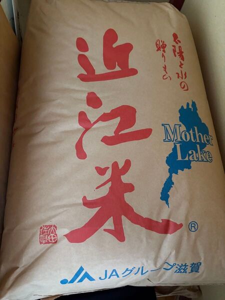 令和6年産、近江米コシヒカリ、10キロ