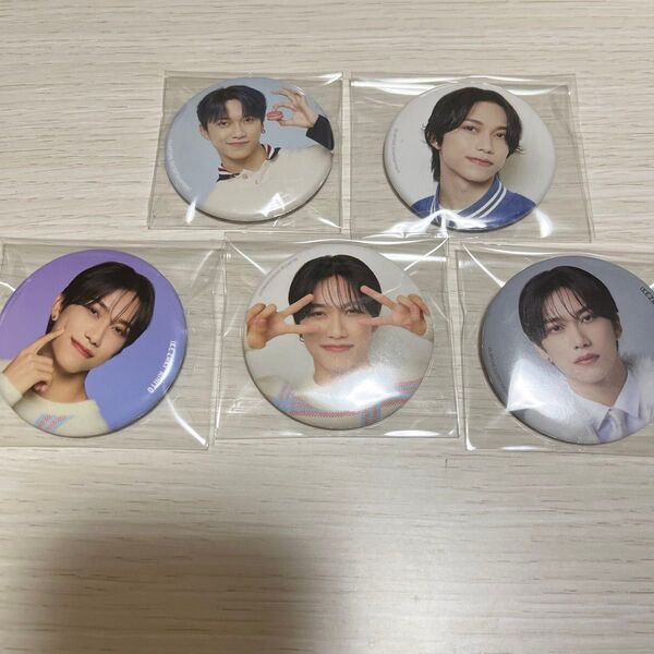 INI 池﨑理人 缶バッジ セット