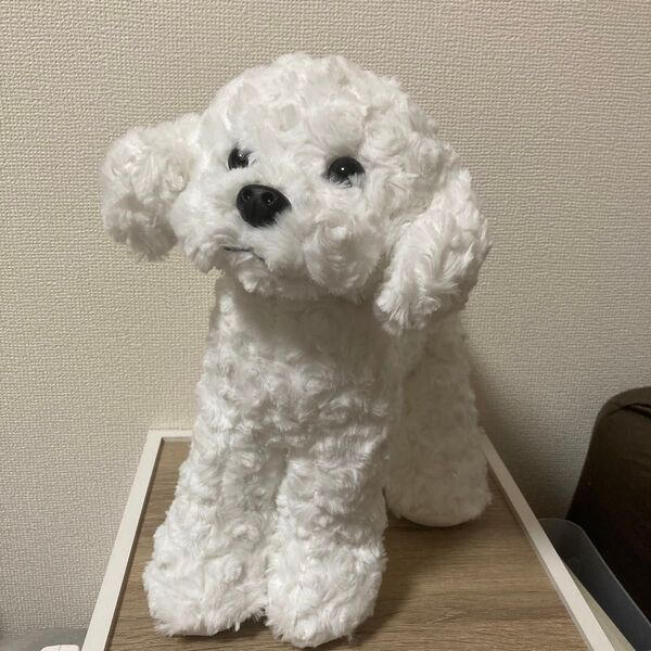 たちぬい トイプードル ぬいぐるみ 犬