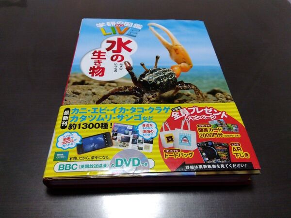学研の図鑑 LIVE 水の生き物 DVDつき 学研 gakken 図鑑 学習 教育