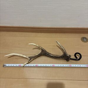 鹿の角 ランタンハンガー