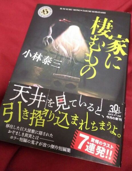 【小林泰三/家に棲むもの】『ホラー短編集♪』【※クーポン使用で 300円で購入出来ます(^o^)/♪】『※確認有り』