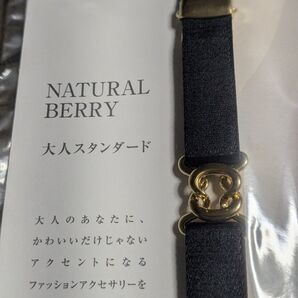 ★飾りゴムベルト★新品未使用★ダルマ型 ゴールド 15mm幅L日本製