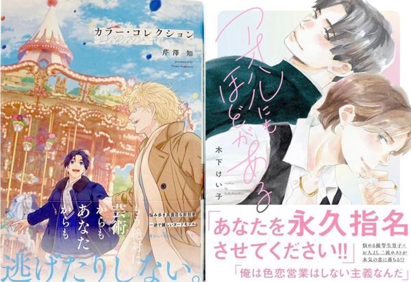 芹澤知 カラー・コレクション PARADE 木下けい子 アオハルにもほどがある