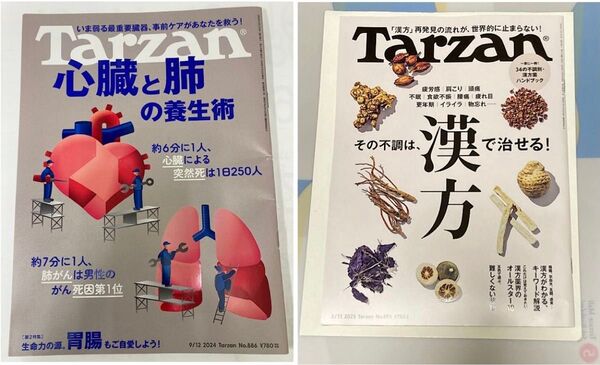 Tarzan ターザン 漢方で治せる