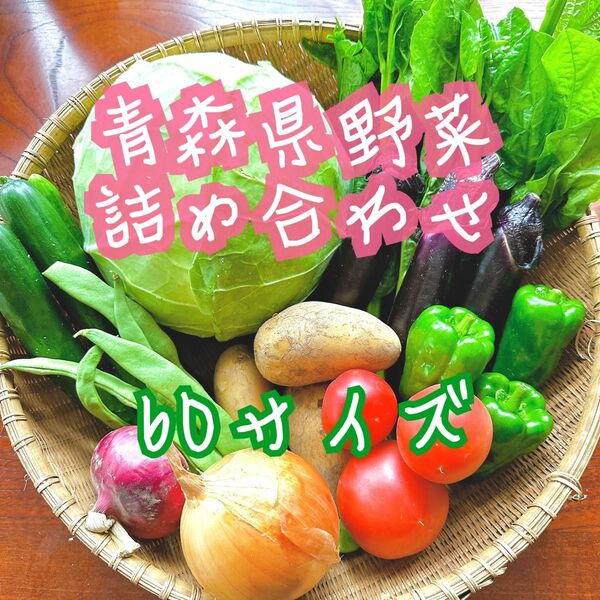 青森県産野菜 詰め合わせ 60サイズ