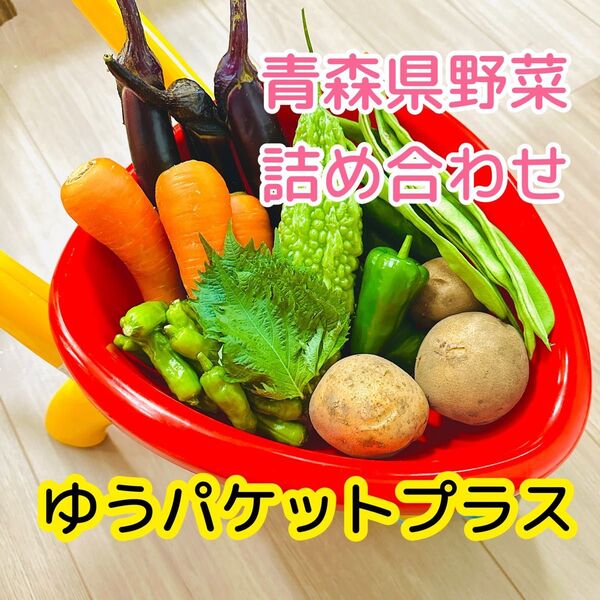 【即購入歓迎】青森県野菜詰め合わせ ゆうパケットプラス