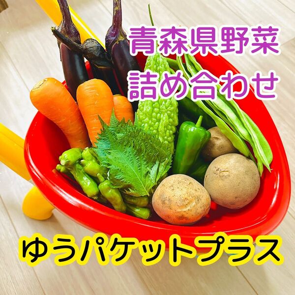 【青森県産野菜】詰め合わせ ゆうパケットプラス