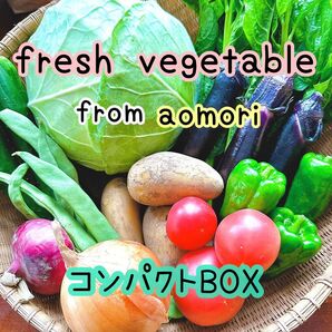【即購入歓迎】青森県産野菜 詰め合わせ コンパクトBOX