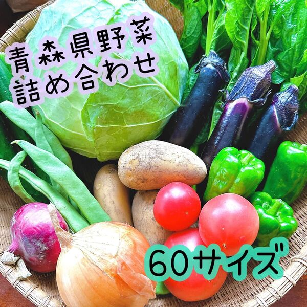 【即購入歓迎】青森県産野菜 詰め合わせ 60サイズ
