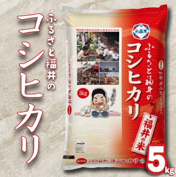 福井県産 コシヒカリ 5kg 令和6年産 白米 単一原料米 送料無料 即購入OK 【精米_2025年5月上旬】