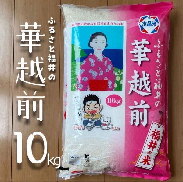 福井県産 華越前 10kg 令和6年産 白米 単一原料米 送料無料 即購入OK 【精米_2025年4月下旬】【5kg×2袋】