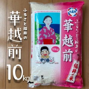 福井県産 華越前 10kg 令和6年産 白米 単一原料米 送料無料 即購入OK 【精米_2025年4月下旬】【5kg×2袋】