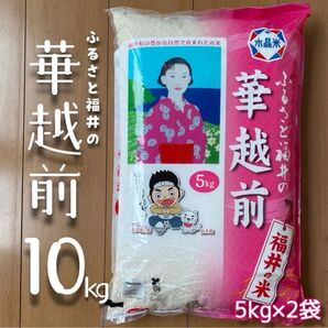 福井県産 華越前 10kg 令和6年産 白米 単一原料米 送料無料 即購入OK 【精米_2025年5月中旬】【5kg×2袋】