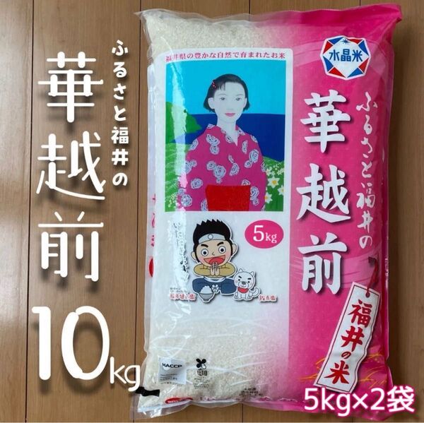 福井県産 華越前 10kg 令和6年産 白米 単一原料米 送料無料 即購入OK 【精米_2025年5月中旬】【5kg×2袋】
