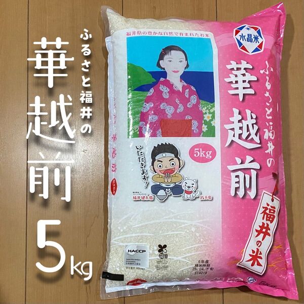 福井県産 華越前 5kg 令和6年産 白米 単一原料米 送料無料 即購入OK 【精米_2025年4月下旬】