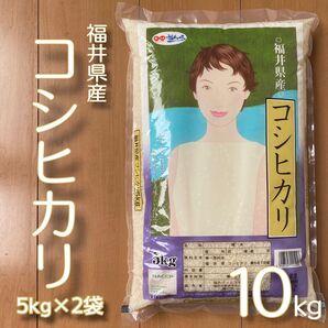 福井県産 コシヒカリ 10kg 令和6年産 白米 単一原料米 送料無料 即購入OK 5kg×2袋 __24時間以内発送