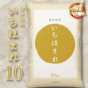 福井県産 いちほまれ 10kg 特A お米10キロ 単一原料米 令和6年産【2025年5月上旬_精米】送料無料