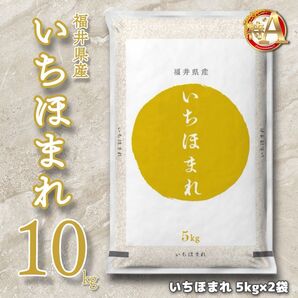 福井県産 いちほまれ 10kg 特A お米10キロ 単一原料米 令和6年産【2025年5月上旬_精米】送料無料 _5kg×2袋_