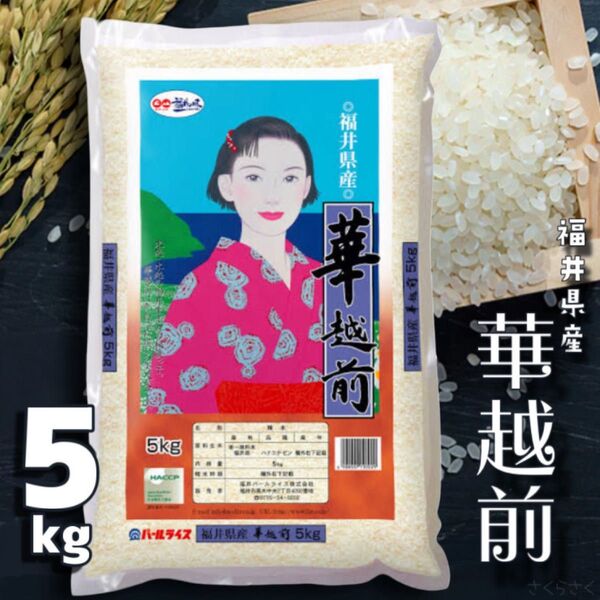 福井県産 華越前 5kg 令和6年産 白米 単一原料米 送料無料 即購入OK 【精米_2025年5月上旬】