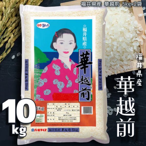 福井県産 華越前 10kg 令和6年産 白米 単一原料米 送料無料 即購入OK 【精米_2025年5月上旬】5kg×2袋
