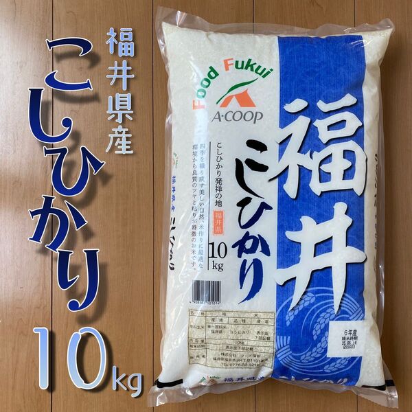 福井県産 こしひかり10kg 令和6年産 白米 単一原料米 送料無料 即購入OK 【精米_2025年5月上旬】 コシヒカリ