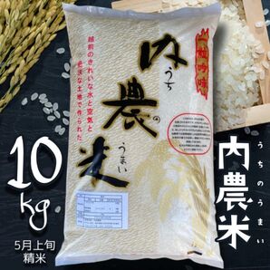 福井県産 うちのうまい 内農米 10kg コシヒカリ 福井県鯖江産こしひかり【精米_2025年5月上旬】令和6年産 低農薬米