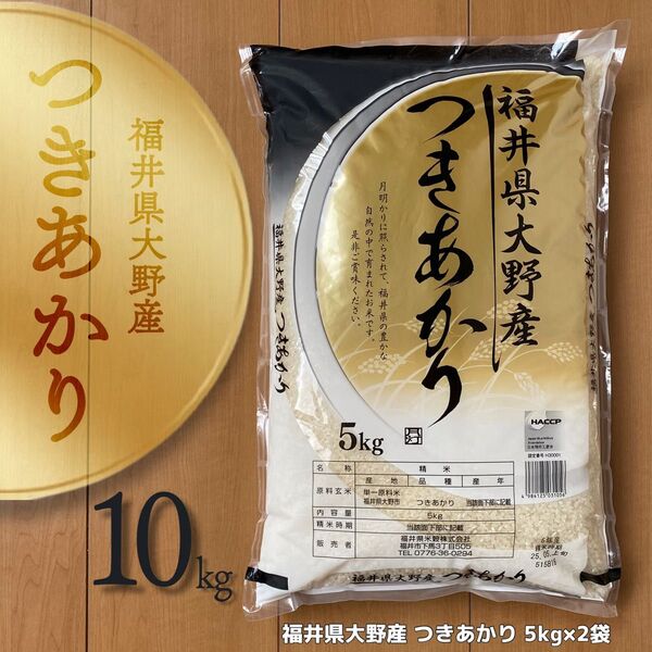 福井県大野産 つきあかり 10kg 令和6年産 白米 単一原料米 【精米_2025年5月上旬】送料無料 5kg×2袋