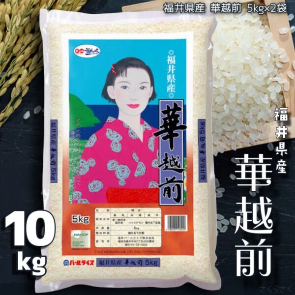 福井県産 華越前 10kg 令和6年産 白米 単一原料米 送料無料 即購入OK 【精米_2025年5月上旬】5kg×2袋