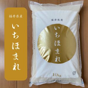 福井県産 いちほまれ 10kg 特A お米10キロ 単一原料米 令和6年産【2025年5月中旬_精米】送料無料