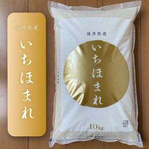 福井県産 いちほまれ 10kg 特A お米10キロ 単一原料米 令和6年産【2025年5月中旬_精米】送料無料