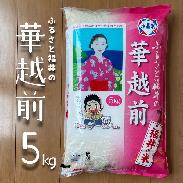 【タイムセール】福井県産 華越前 5kg 令和6年産 白米 単一原料米 送料無料 即購入OK 【精米_2025年5月上旬】