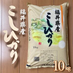【タイムセール】福井県産 こしひかり10kg 令和6年産 白米 単一原料米 送料無料 即購入OK 【精米_2025年5月上旬】
