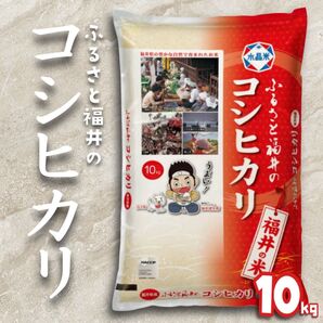 【タイムセール】福井県産 コシヒカリ 10kg 令和6年産 白米 単一原料米 送料無料【精米_2025年5月中旬】【5kg×2袋】