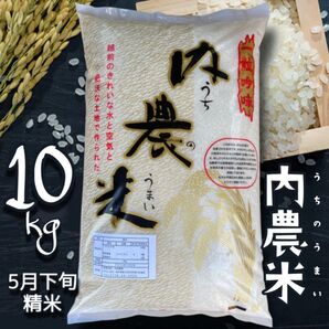 福井県産 うちのうまい 内農米 10kg コシヒカリ 福井県鯖江産こしひかり【精米_2025年5月下旬】令和6年産 低農薬米