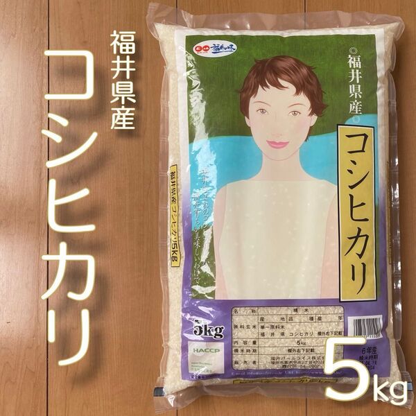 福井県産 コシヒカリ 5kg 令和6年産 白米 単一原料米 送料無料 即購入OK 24時間以内発送 米5kg