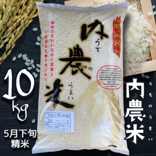 【タイムセール】福井県産 うちのうまい 内農米 10kg 福井県鯖江産こしひかり【精米_2025年5月下旬】令和6年産 低農薬米