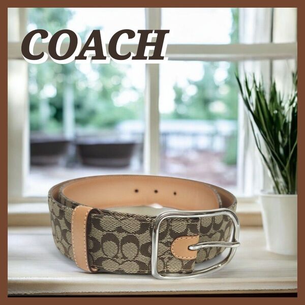 【美品】 COACH コーチ シグネチャー ベルト D2/8573 Medium