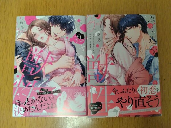 【2巻は新刊】ぶり返す獣性。 カースト上位な男の、10年越しの激愛 1巻2巻セット