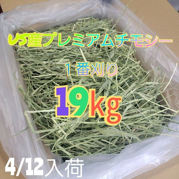 チモシー 19kg ウサギ モルモット うさぎ デグー チンチラ 1番刈り 餌