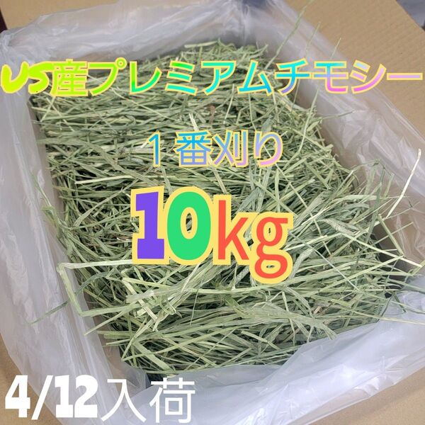 チモシー 10kg ウサギ モルモット うさぎ デグー チンチラ 1番刈り 餌