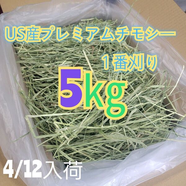 チモシー 5kg ウサギ モルモット うさぎ デグー チンチラ 1番刈り 餌