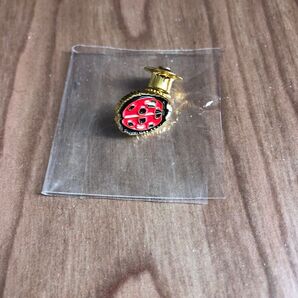 Supreme Ladybug Pin ピンバッジ 2018SS