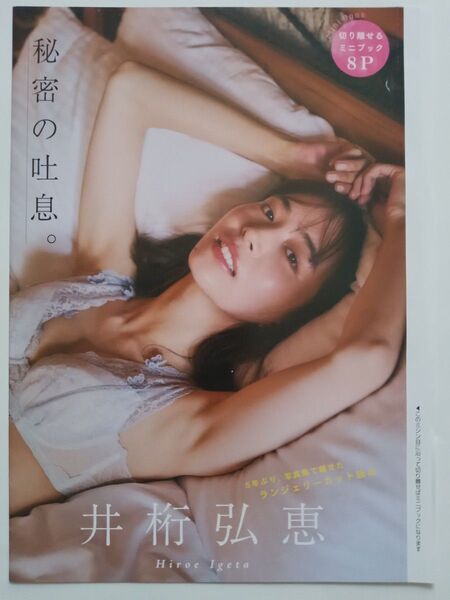 井桁弘恵2 袋とじ未開封 8ページ