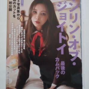インリン 袋とじ未開封 8ページ