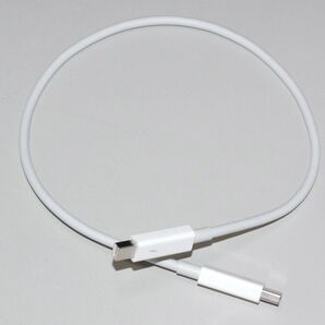 Apple Thunderbolt cable (0.5m) MD862ZM/A 動作確認済み使用感ほぼなし アップル