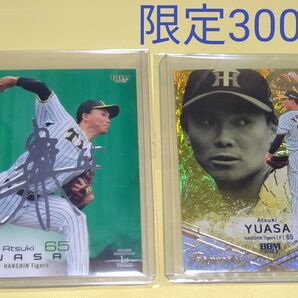 2023bbm阪神タイガース