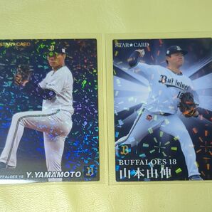 プロ野球チップス スターカード