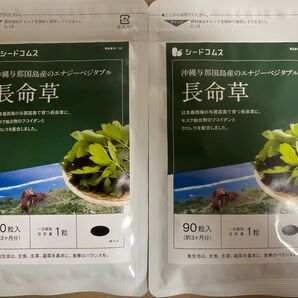 送料無料 約3か月分×2袋セット 長命草 エナジーベジタブル フコイダン クロレラ 未開封