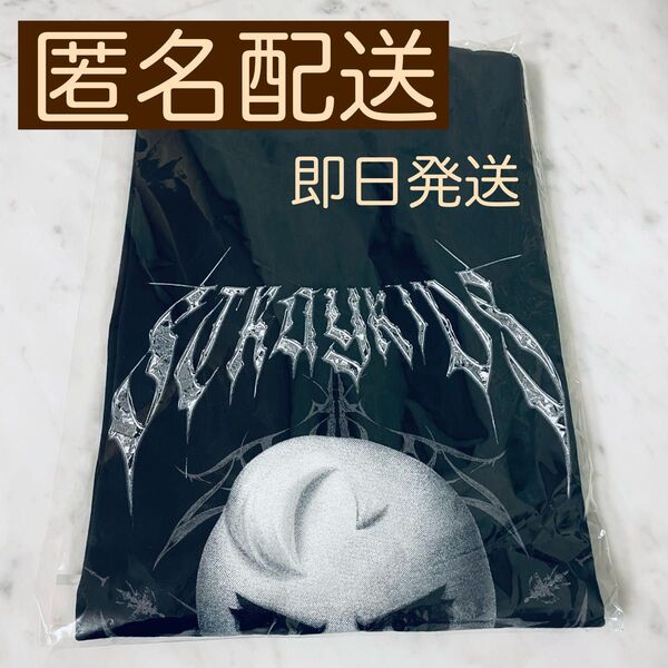 straykids スキズ フィリックス 闇T ポガリ Tシャツ dominATE エコパ